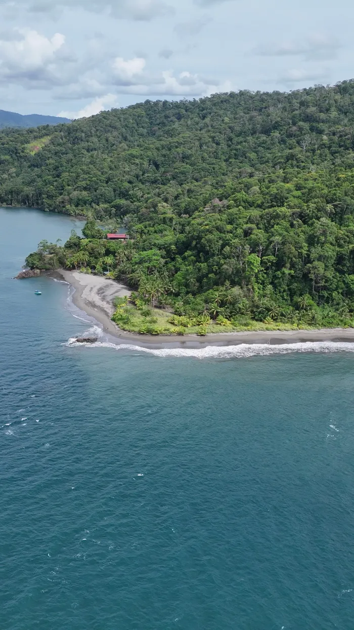 Isla del Caño Snorkeling Tour — real moment 4