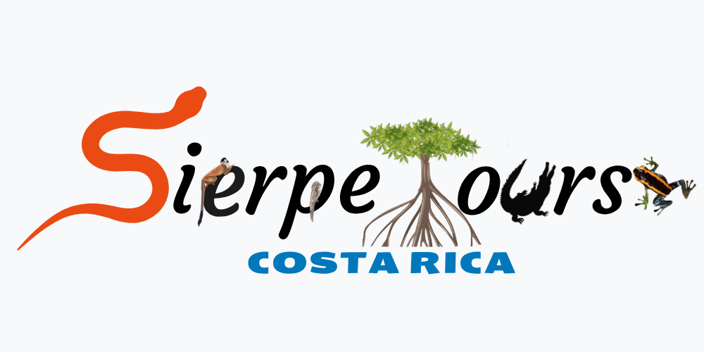 Sierpe Tours — Costa Rica